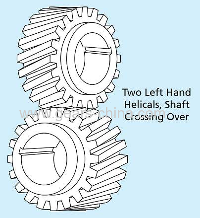 pet food processing machine helical gear